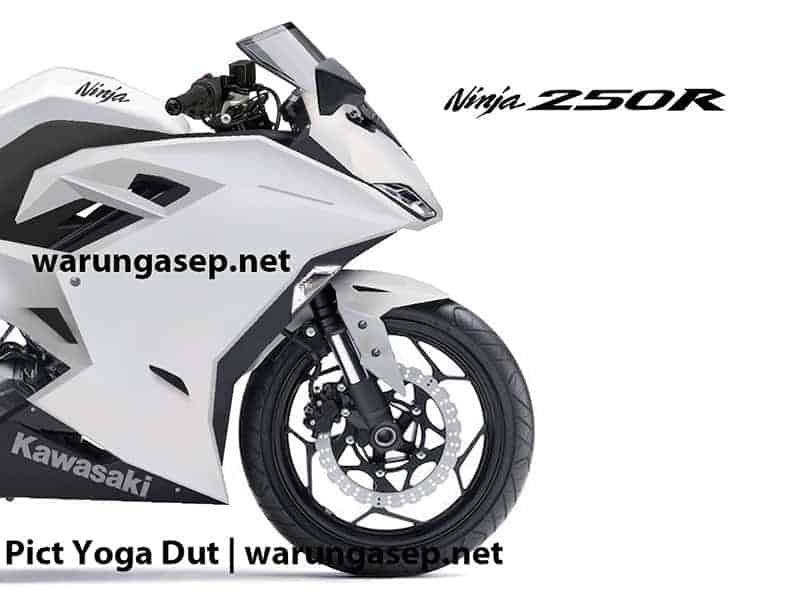 ภาพเรนเดอร์ Kawasaki Ninja 250R 2016 ซุปเปอร์ไบค์ ไซส์มินิ | MOTOWISH 88