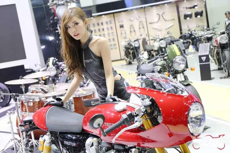 Triumph จัดทัพใหญ่ รถใหม่, รถลิมิเต็ด, ชุดแต่งเด็ดๆ และโปรฯมาเพียบ (MOTOR SHOW 2016) | MOTOWISH 39