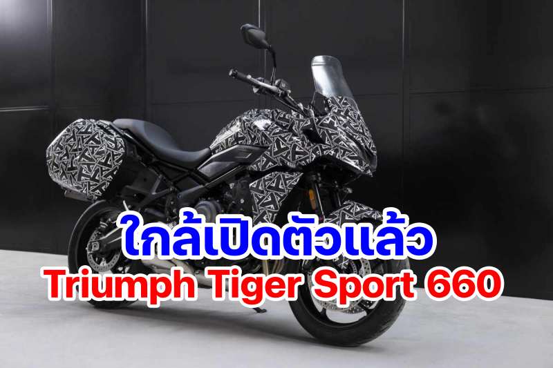 Triumph_Tiger_sport 660-2