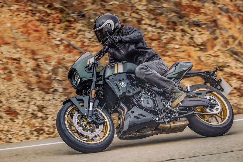 Suzuki, GSX-8T, GSX-8TT